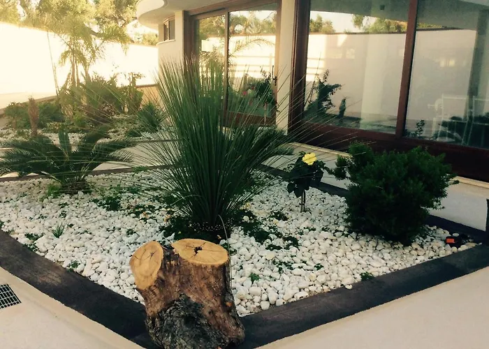 Apartment Charming In With Shared Pool *