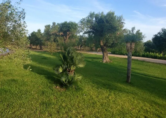 Charming In With Shared Pool Apartment