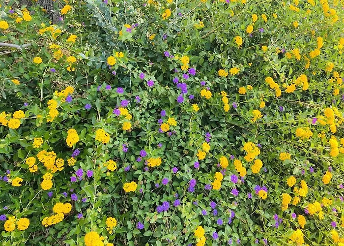 Charming In With Shared Pool 아파트