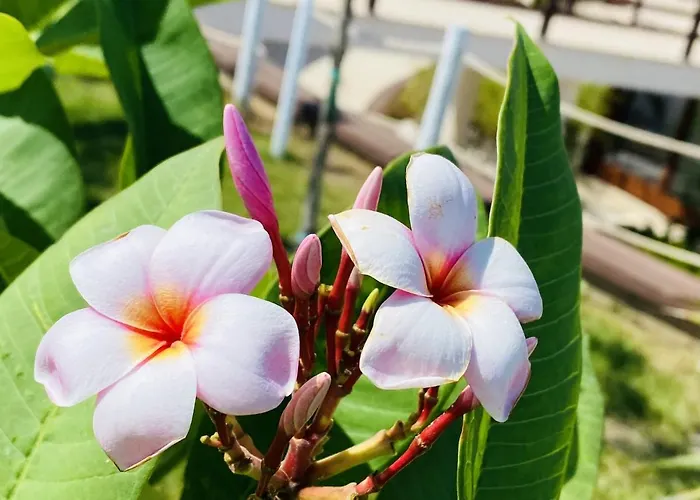 Charming In With Shared Pool 아파트